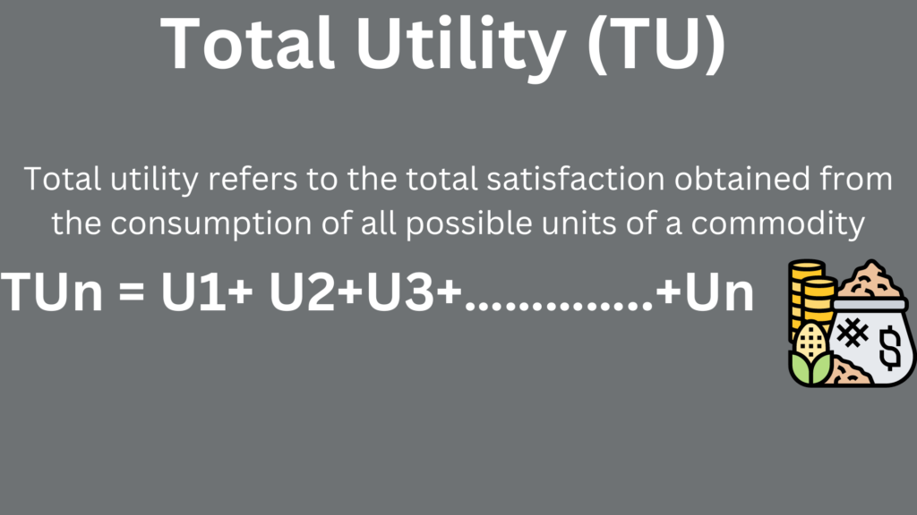 Total Utility And Marginal Utility Class 11 Notes Microeconomics