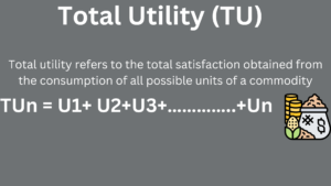 Total Utility (TU)