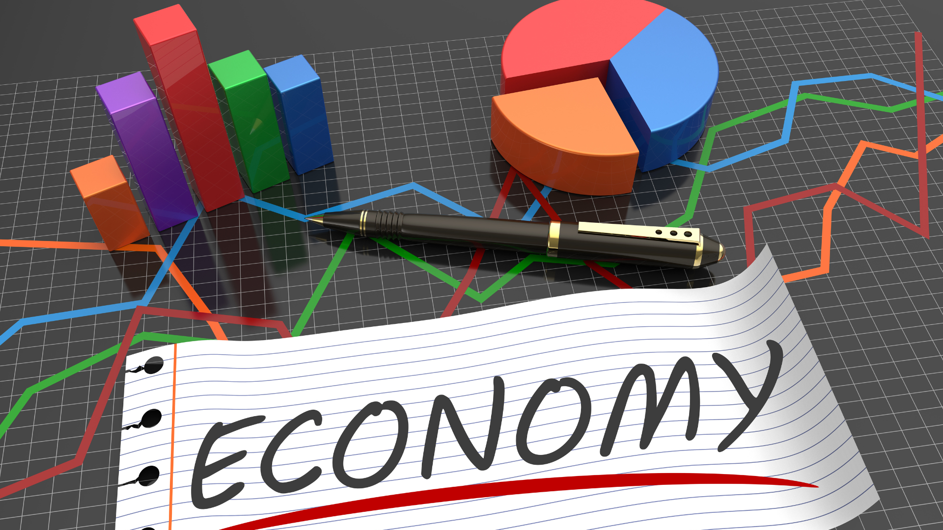 What is an Economy? Microeconomics Class 11 Notes