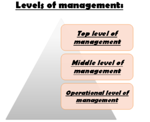 Levels of management